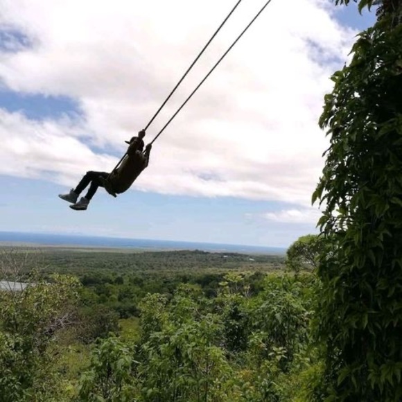 Meet your Posher, Darwin - Picture 1 of 1